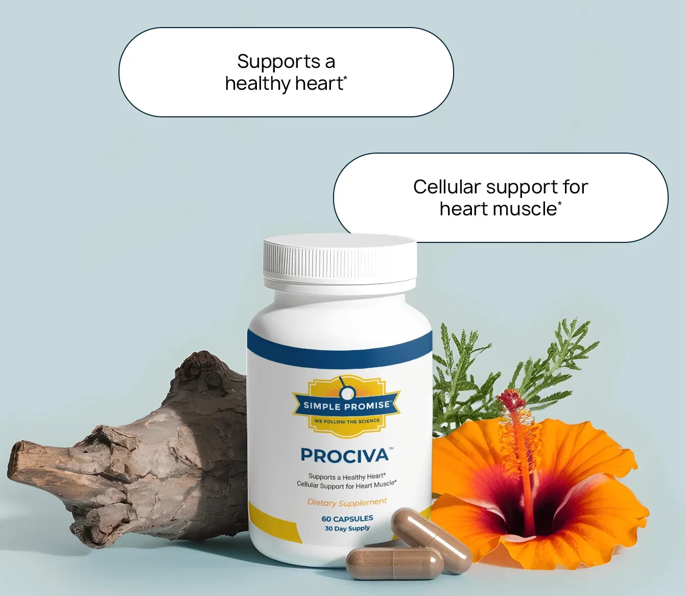Prociva Benefits